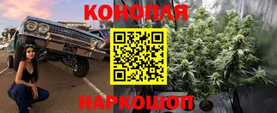 Альфа ПВП Краснокаменск