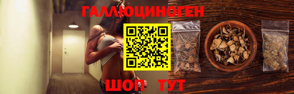 Псилоцибиновые грибы мицелий Тимашёвск